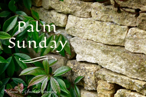 image courtesy of https://lanciaesmith.com