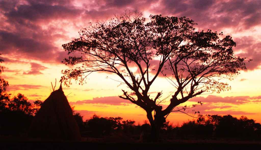 Above All, Remember to Live #Poetry #MaryOliver&nbsp;#Live