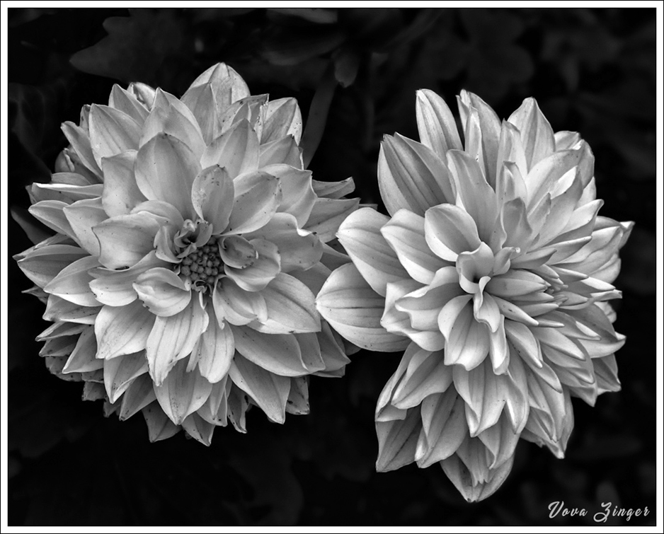 Remembering Vova Zinger #Eulogy #Photography #Boston #Nature #Memory #Art #Poetry&nbsp;#Poem