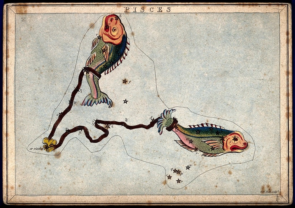 Tether Me to You – The Song of Pisces: Constellation Series #Constellations #Song #Music #Pisces #Love #Together #Astronomy&nbsp;#Mythology