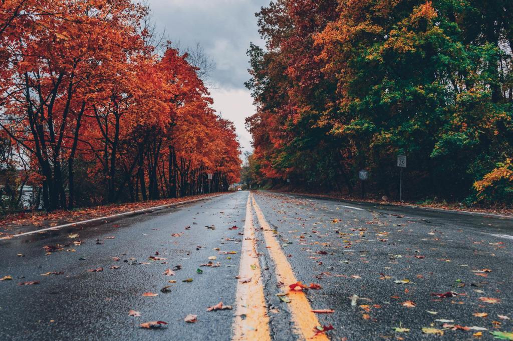 Family, Music, and the Autumn Road: A Legacy&nbsp;Continues