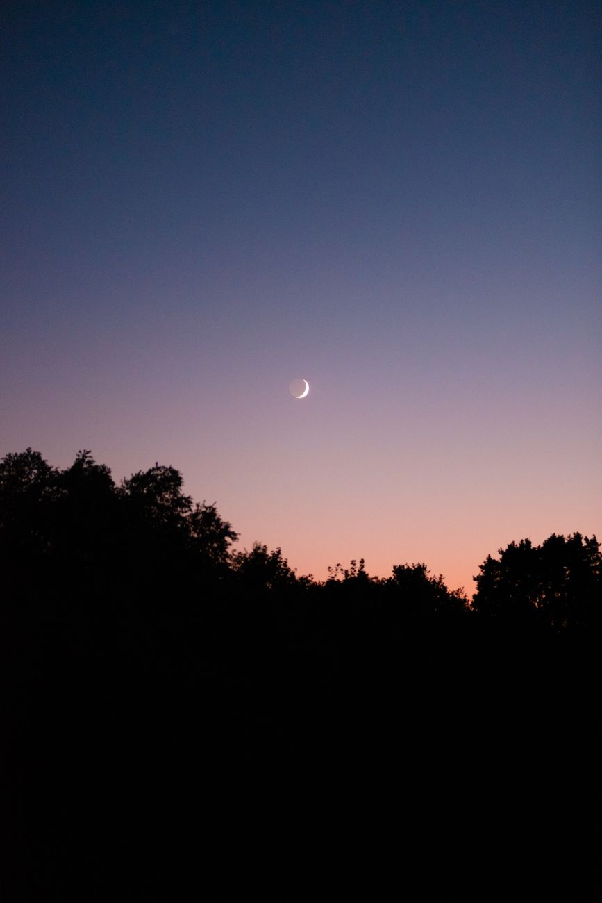 The Good Life: Timely Wisdom from Mary&nbsp;Oliver